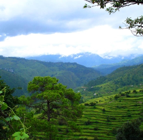 kausani