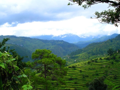 kausani